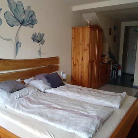 Liliana Vendeghaz Apartment Balatonfuzfo Room photo