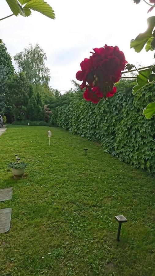 Liliana Vendeghaz Apartment Balatonfuzfo Exterior photo